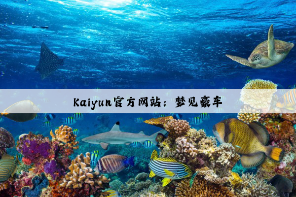 Kaiyun官方网站：梦见豪车