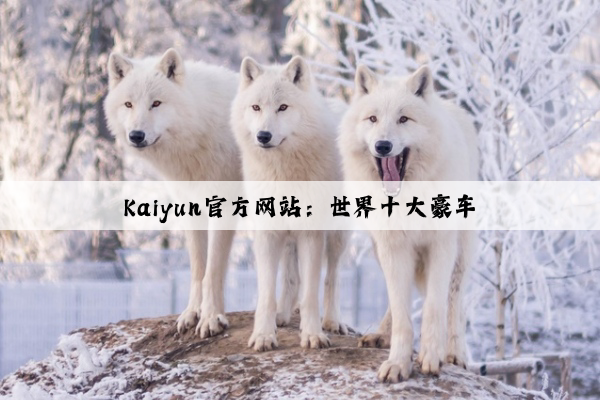 Kaiyun官方网站：世界十大豪车