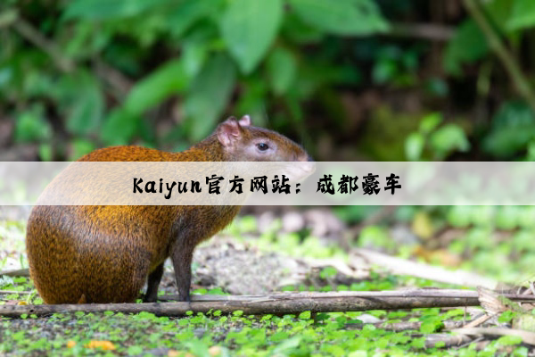 Kaiyun官方网站：成都豪车