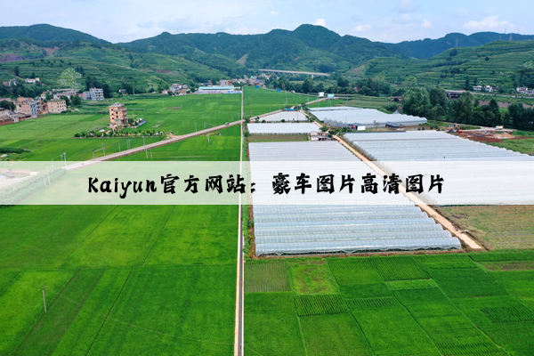 Kaiyun官方网站：豪车图片高清图片