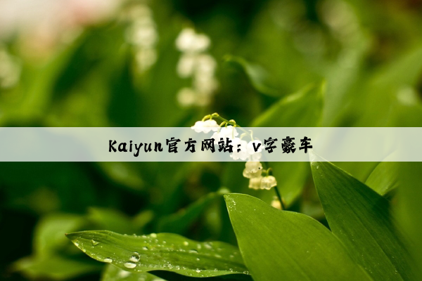Kaiyun官方网站：v字豪车