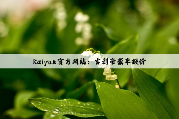 Kaiyun官方网站：吉利帝豪车报价