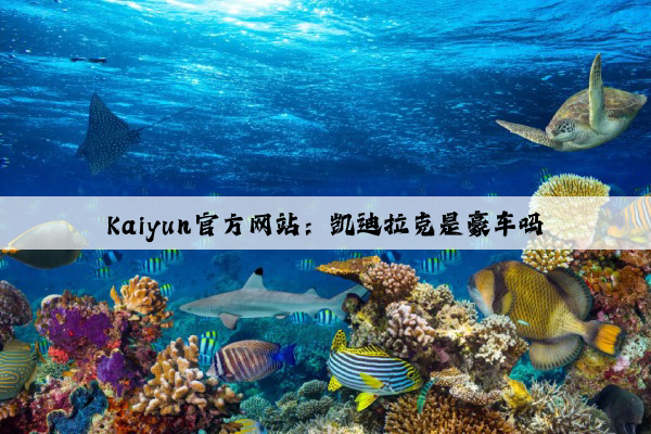 Kaiyun官方网站：凯迪拉克是豪车吗